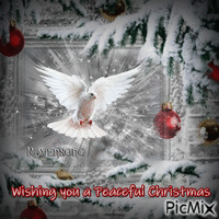 Wishing you a Peaceful Christmas