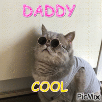 DADDY COOL - Animovaný GIF zadarmo