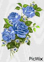 ruže animált GIF