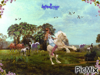 horses animovaný GIF