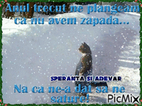 https://www.facebook.com/SperantaSiAdevarMaria/ - Darmowy animowany GIF