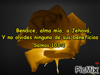 salmo 103:2 - Bezmaksas animēts GIF