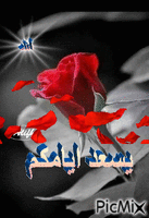 يسعد أيامكم - Безплатен анимиран GIF