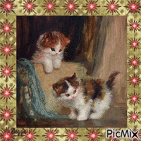 sweet kitties animovaný GIF