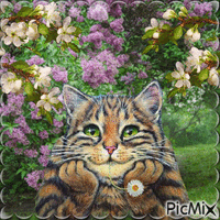 Весенний котик. - Ücretsiz animasyonlu GIF