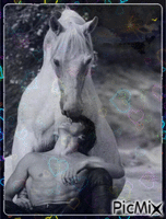 patrick Swayse et son cheval GIF animado