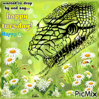 Happy tuesday, happy spring.... snake - Free animated GIF