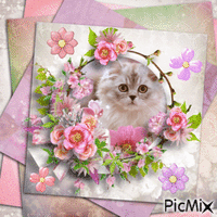 Sweet Cat with Flowers