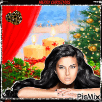 Merry Christmas. Lady in black 动画 GIF