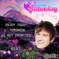 Happy Saturday Bert GIF animé