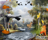 jesen - Zdarma animovaný GIF