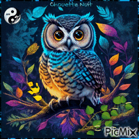 ✦ Chouette Nuit - GIF animasi gratis