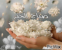 صباح الخير، صديقي العزيز - Animovaný GIF zadarmo