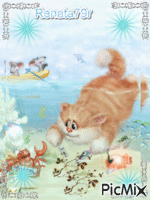 kot w wodzie - GIF animé gratuit