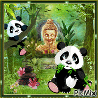 pandas - GIF animado grátis