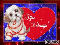 Valentijn - GIF animado grátis
