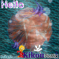 hello kikou Animated GIF