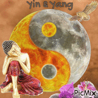 Concours : Yin & Yang - Gratis animerad GIF