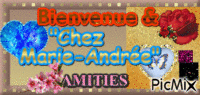 Bienvenue § Amitiés - анимированный гифка