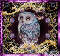 OWL IN PURPLE GIF animé