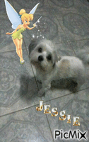 jessie bell - GIF animé gratuit