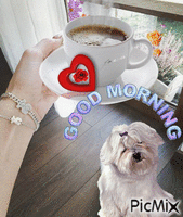 good morning - Gratis animerad GIF