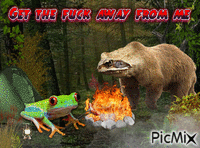 Camping with Mr. Bear Frog - GIF animé gratuit