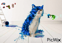 CAT animovaný GIF