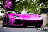 c'est ma voiture !!!! - Zdarma animovaný GIF