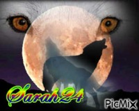 loup de nuit - Darmowy animowany GIF