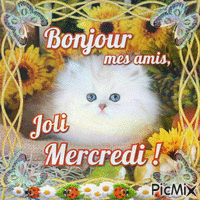bonjour mes amis Animated GIF
