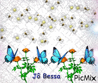 borboletas animovaný GIF