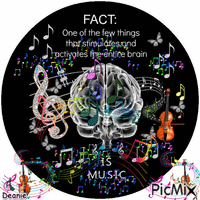 Music Activates The Entire Brain animasyonlu GIF