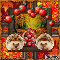 {#}Hedgehogs & the Apples in Autumn{#}