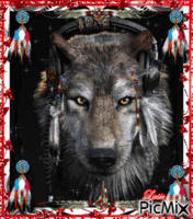 Le loup amérindien ♥♥♥ анимированный гифка