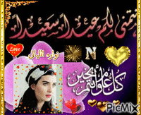 نوارة الليالى - Zdarma animovaný GIF