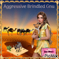 Aggressive Brindled gnu - GIF animé gratuit