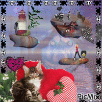 My cat and his friends - Free animated GIF