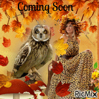 autumn owl animēts GIF