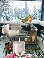 Winterlicht - Gratis animeret GIF
