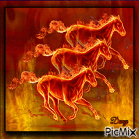 chevaux Animated GIF