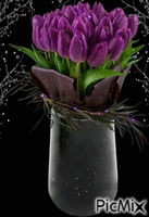 тюльпаны - GIF animado grátis