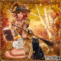Have an adventurous Weekend. Autumn