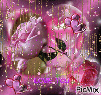 Beautiful Pink Roses - Besplatni animirani GIF