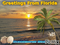 Greetings From Florida - GIF animado grátis