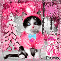 Cat in winter - Pink shades