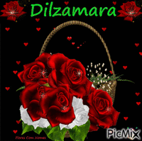 Dilzamara GIF animata
