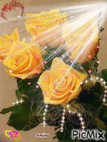 roses - GIF animado grátis