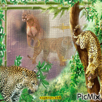 tigres et paysage GIF animasi
