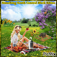 Munching South Central Black Rhino animált GIF